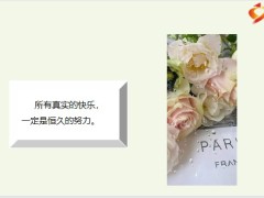 每日鸡汤励志人生慢慢走沿途有风景背后有阳光.zip