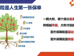 太保合家安保险产品四大亮点形态销售三步走定位29页.pptx
