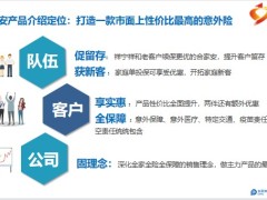 太保合家安保险产品介绍定位形态9页.pptx