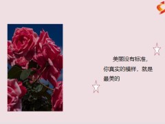 每日鸡汤励志人生每天都是崭新的不要辜负了美好的时光.zip