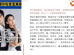 董子健和孙怡离婚20页.pptx