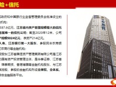 光大永明鑫利来的功能性保障性收益性三位一体23页.pptx
