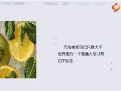 每日鸡汤励志人生心有热烈平凡的日子也会泛着光.zip