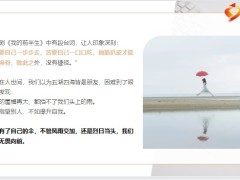 每日正能量为自己撑伞13页.pptx