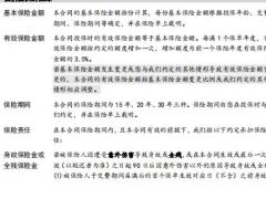 太保鑫相诚两全保险条款.zip