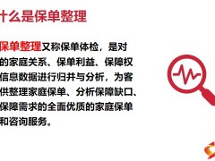专业化服务流程保单整理操作手册报告提供加保建议索取转介绍34页.pptx