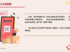 民生附加康鑫重大疾病保险背景特色产品案例篇24页.pptx