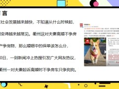 婚姻中的保单怎么分在夫妻关系存续期间获得的保险金21页.pptx