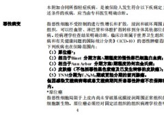 中意附加轻症疾病保险B款条款.zip