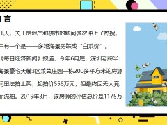 房产投资的潜在风险如何合理配置我们的资产21页.pptx