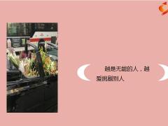 每日鸡汤励志人生余生漫漫愿多喜乐长安宁岁无忧.zip