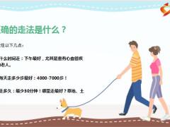 每日健康每天这样走越走病越少原来我以前都走错了9页.pptx