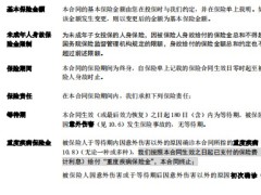 鼎诚鼎宝保重大疾病保险条款费率.rar