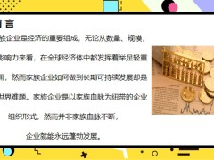 家族企业民营企业理财风险主要原因风险防范措施24页.pptx