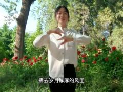 视频晨操庆祝建党百年手语舞追寻.zip