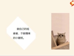 每日鸡汤励志人生在流年里等待花开处繁华中守住真淳于纷芜中静养心性.zip