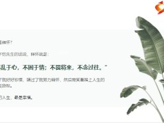 每日正能量释怀不乱于心不困于情不畏将来不念过往12页.pptx