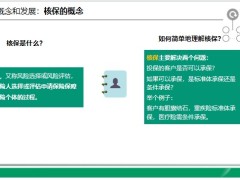 核保的概念发展意义职责流程结论含备注15页.pptx