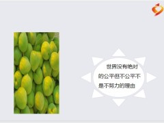 每日鸡汤励志人生不一定每天都很好但每天都会有些小美好在等你.zip