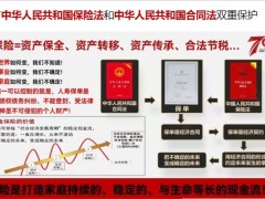 华夏福临门旗舰版传家宝3.0金融房产解析增额终身寿24页.pptx