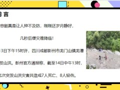 龙漕沟意外事件案例解析未雨绸缪的智慧一定要具备20页.pptx