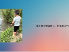 每日快乐早会22年8月29日使用12页.pptx