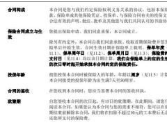 中意乐优悠养老年金保险条款.zip
