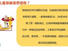 保单续费续保解析忘了续费续保怎么办如何避免20页.pptx