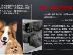 百年悦享年年养老年金保险产品形态案例解析46页.pptx