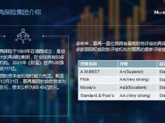慕尼黑再保险与高净值寿险业务介绍高端终身寿险市场与产品解析30页.pptx
