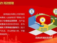 国寿乐盈一生产品基本形态三大亮点37页.pptx