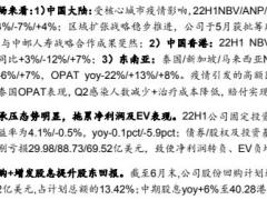 友邦保险2022中报点评投资端承压拖累业绩表现4页.pdf