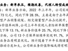 中国平安2022中报点评利润实现正增长寿险转型效果初现4页.pdf