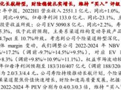 中国太保2022年中报点评寿险NBV深蹲承压后续关注产能及人力变动情况.pdf