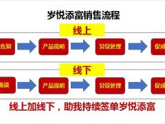 保险绩优分享岁悦添富数据展示产品认知成交过程目标行动分享25页.pptx