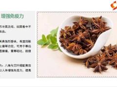 每日健康生姜汁这样用风寒咳嗽统统远离为家人健康都看看10页.pptx
