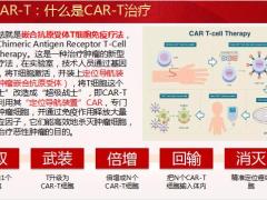 健康产说会主讲国寿CART介绍和吸引项目运作两大核心版50页.pptx