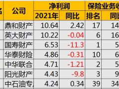 2021年非上市保险公司寿险和财险公司利润排行榜.xlsx