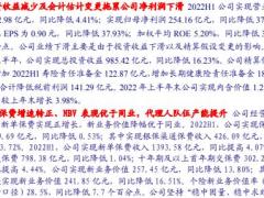 中国人寿2022中报点评投资拖累业绩表现新业务价值表现领先同业.pdf