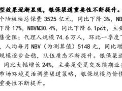 中国人寿2022中报点评新业务价值优于同业行业龙头地位稳固.pdf