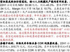 中国太保2022中报点评NBV阶段性显著承压寿险转型进展有望领先于同业.pdf