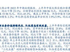 中国太保2022中报点评寿险转型仍处攻坚期产险业务量质齐升.pdf