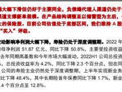 新华保险2022中报点评银保驱动具有投资弹性.pdf