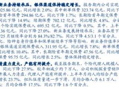 新华保险2022中报点评资负持续承压静待磨底复苏.pdf
