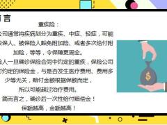 四大险概念解析合理配置保险及注意事项22页.pptx
