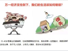 国华申利福两全保险产品形态体检额度11页.pptx