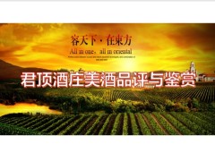理财产说会红酒品鉴财富论坛太平臻享受金生终身寿险版含备注92页.pptx