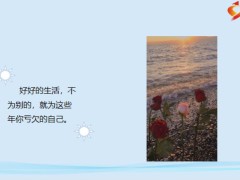 每日鸡汤励志人生风雨里做个大人阳光下做个孩子.zip
