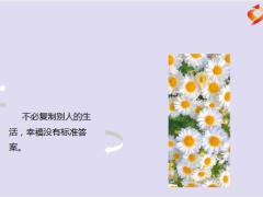 每日鸡汤励志人生要长大要可爱要努力要变有钱.zip
