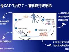 太平细胞免疫疗法A款医疗保险开发背景产品特色形态投保案例31页.pptx